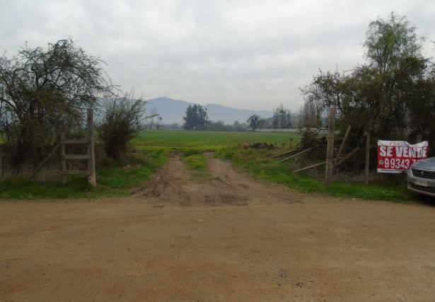 Gran oportunidad agrícola en María Pinto – 6 hectáreas productivas
